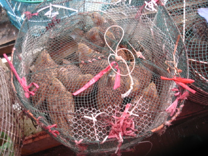 有苦，就有我！