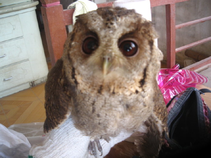 有苦，就有我！