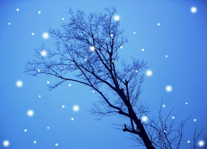 雪，那雪花絮落寒風裡，您頭望向天，有些傷悲！