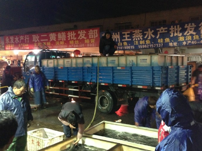 善心莲心联合苏州弘化社举行大型放生