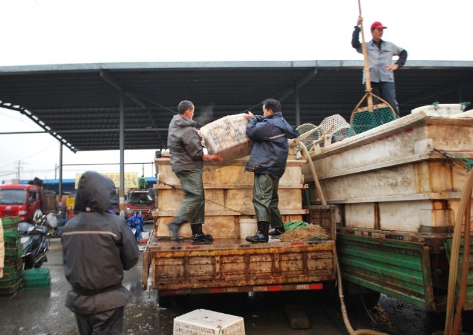 善心莲心联合浙江多宝讲寺举行大型放生