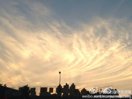 孔雀军团加持重庆