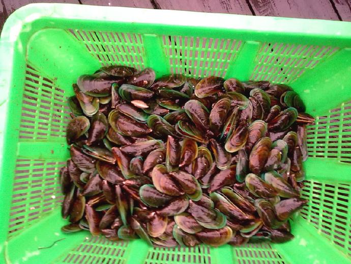 這件事永遠開心