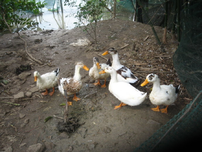 有苦，就有我！