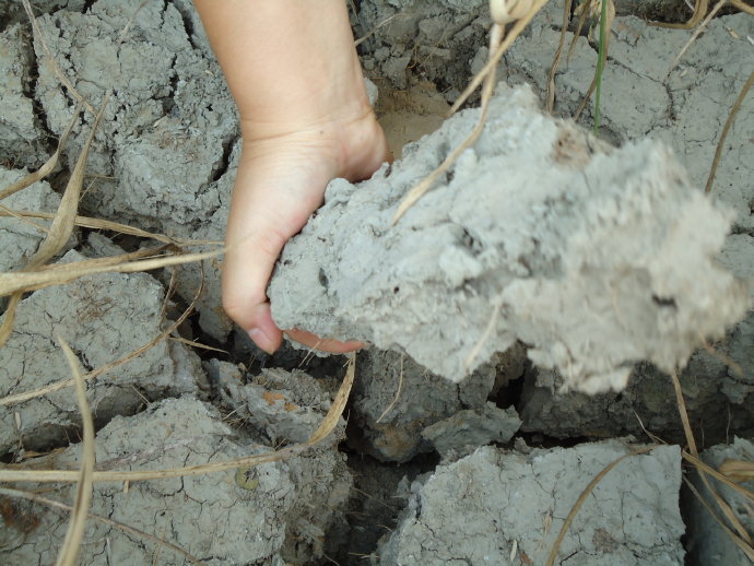 南無甘露王如來大慈大悲-善心蓮心深入貴州重災區全力抗旱