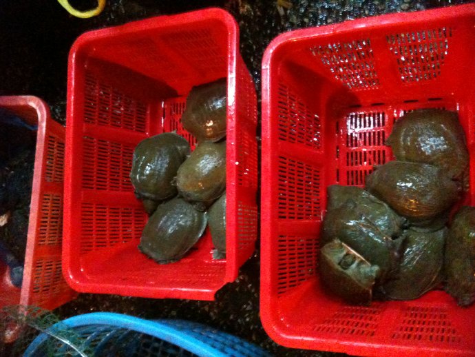 成佛就是如此簡單