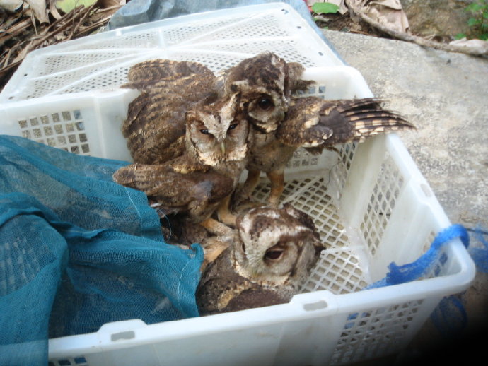 有苦，就有我！