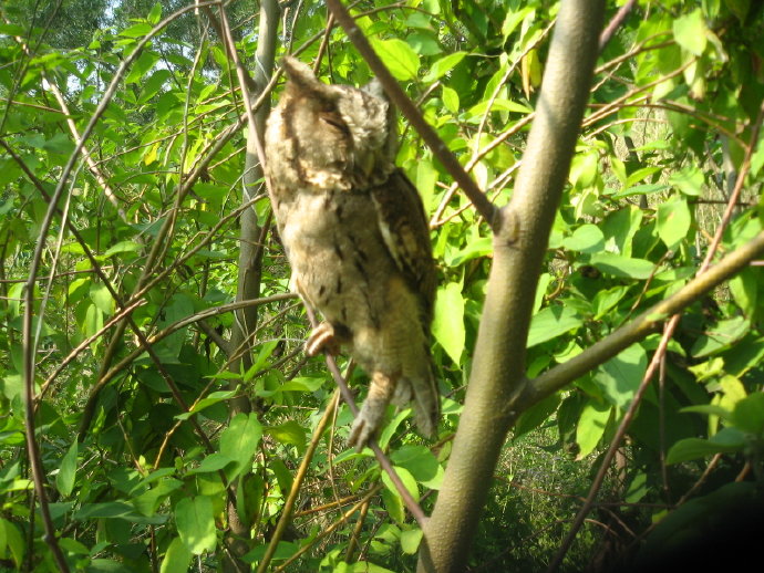 有苦，就有我！