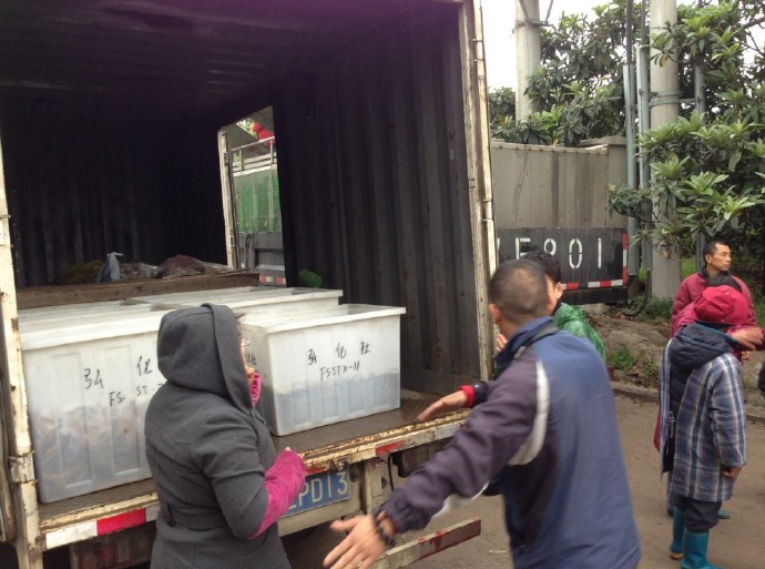 善心莲心联合苏州弘化社举行大型放生