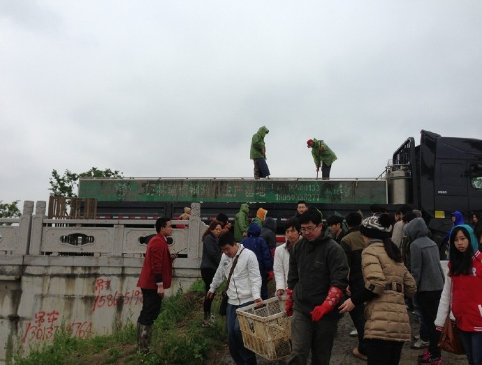 善心莲心联合苏州弘化社举行大型放生