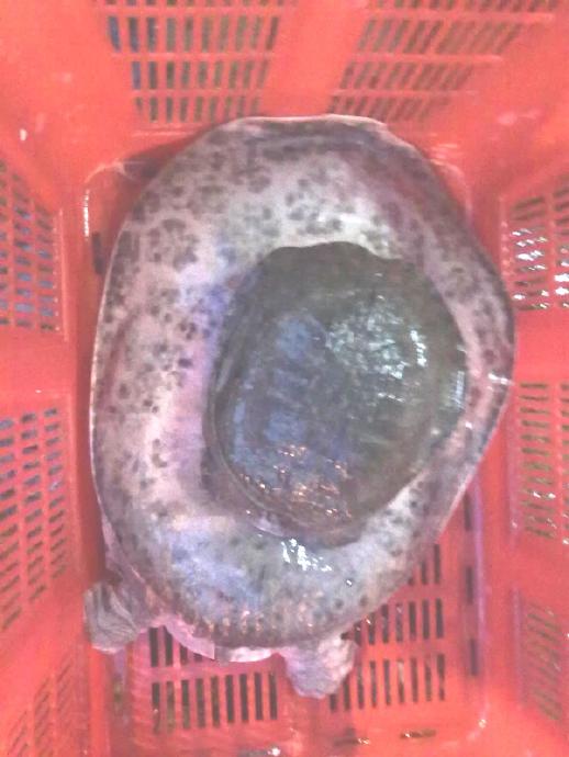 這件事永遠開心