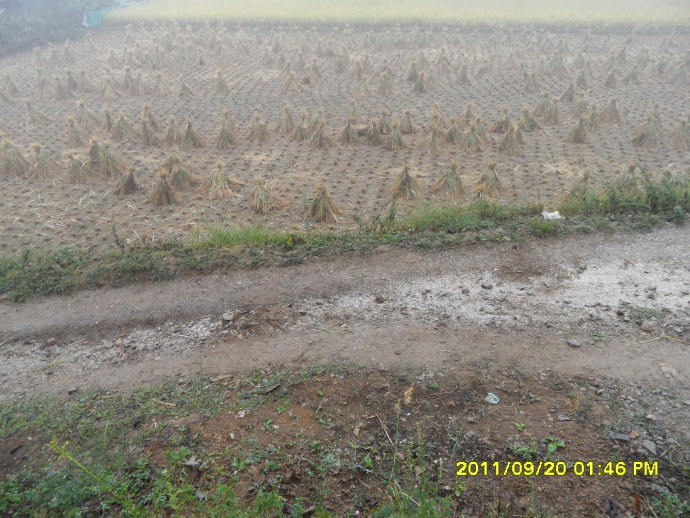 南無甘露王如來大慈大悲-善心蓮心深入貴州重災區全力抗旱