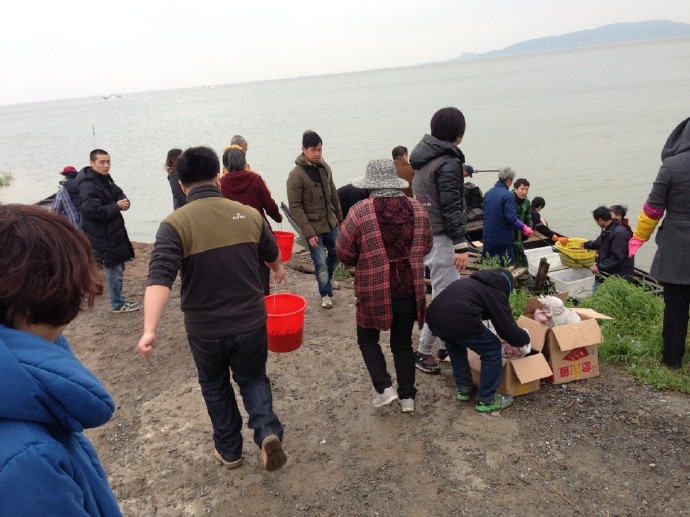 善心莲心联合苏州弘化社举行大型放生