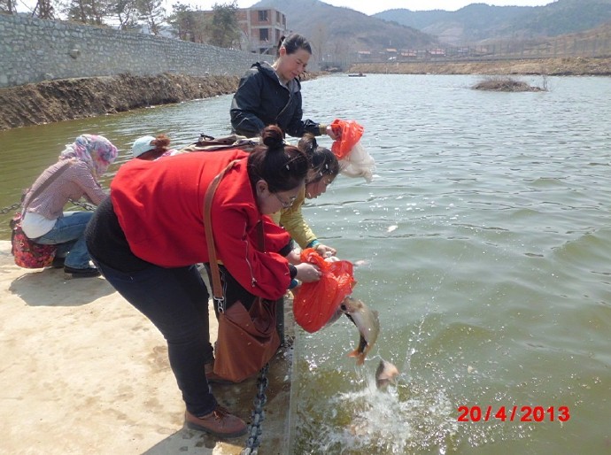 善心莲心联合辽宁大悲寺举行大型放生