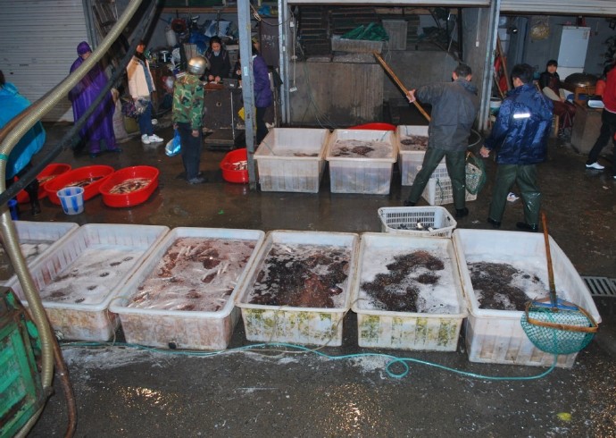 善心莲心联合浙江多宝讲寺举行大型放生