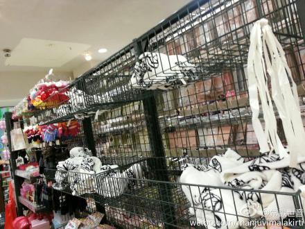 善心莲心广州派衣被报告