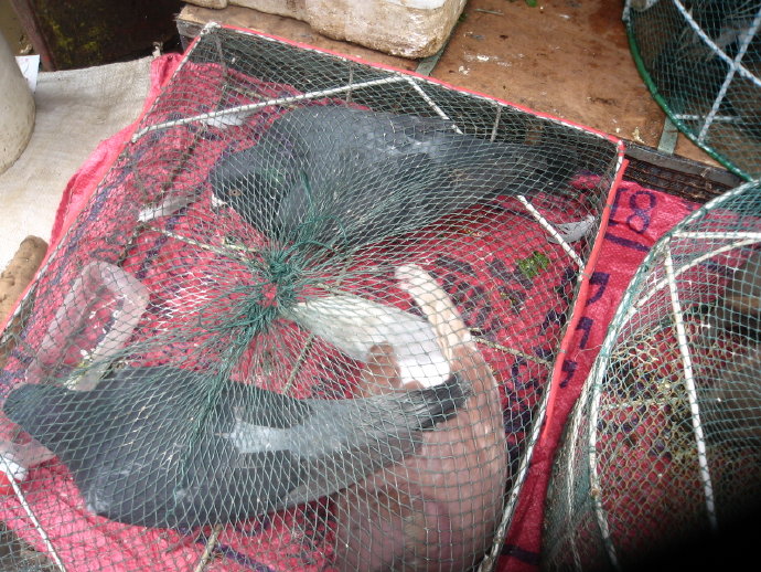 有苦，就有我！