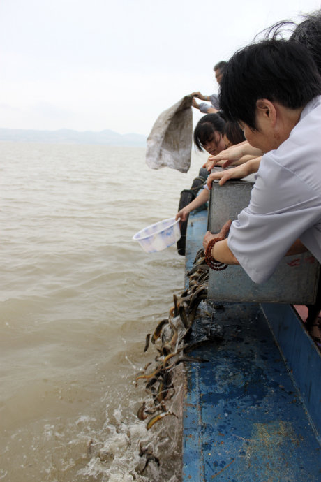鄱陽湖大放生