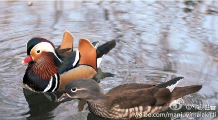 千手千眼广大圆满无碍大悲心陀罗尼经实修法要详解(四)