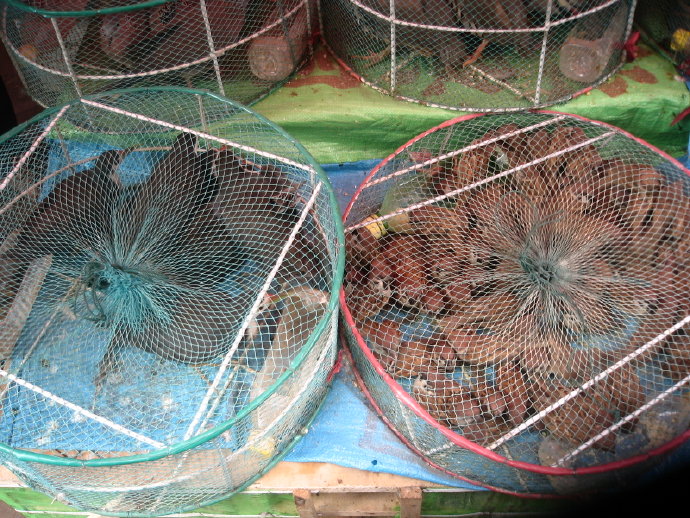 有苦，就有我！