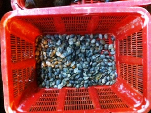 觀世音菩薩在雲頭上也流下慈悲的眼淚！