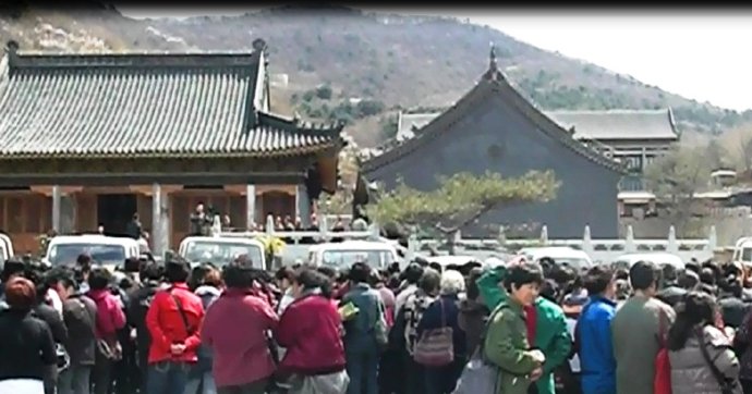 善心蓮心禮請遼寧海城大悲寺全體法師主持救劫大放生