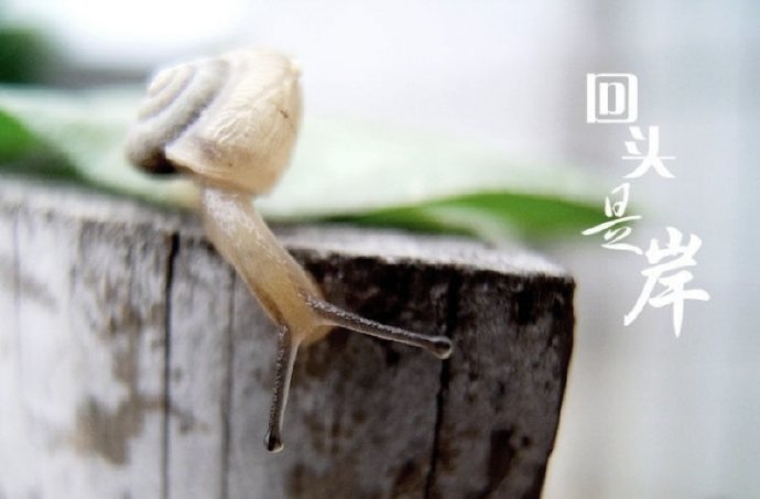 堕胎医生的现世及来世报－碎裂地狱刑囚100000年