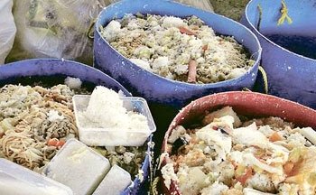 浪费食物的惨痛报应－五谷丰收地狱