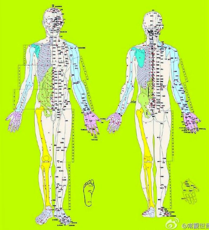 动物活体解剖的反思与能治万病的大药王树