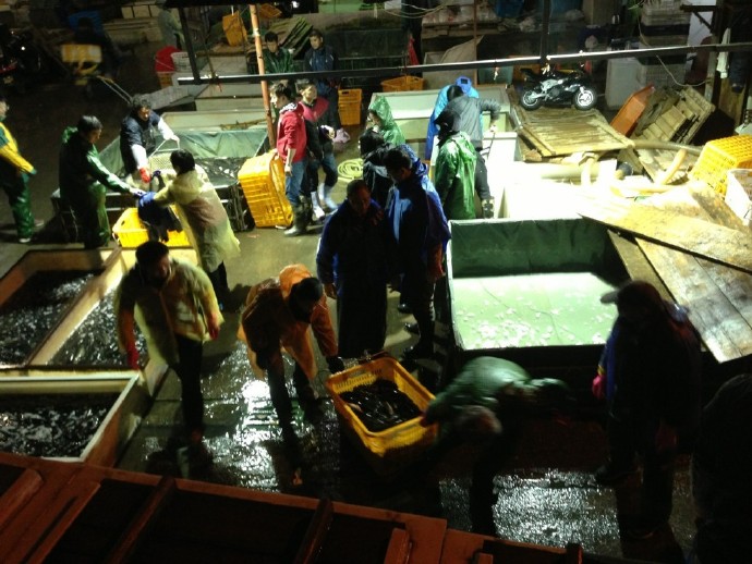 善心莲心联合苏州弘化社举行大型放生