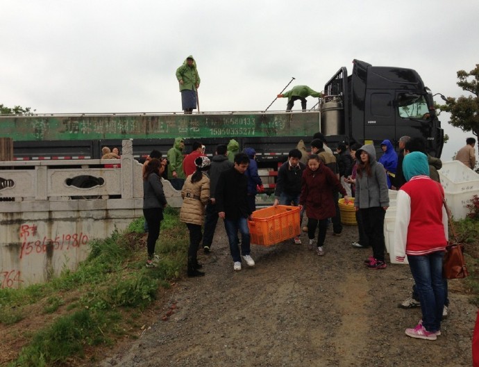 善心莲心联合苏州弘化社举行大型放生