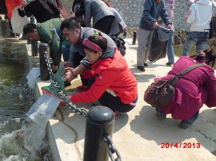 善心莲心联合辽宁大悲寺举行大型放生