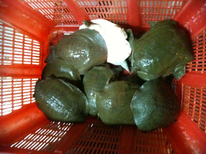 成佛就是如此簡單