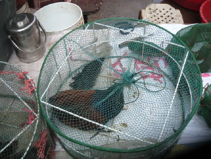 有苦，就有我！