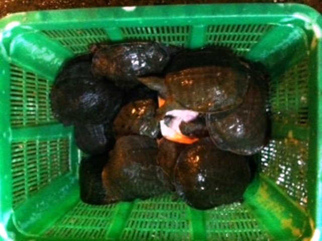 觀世音菩薩在雲頭上也流下慈悲的眼淚！