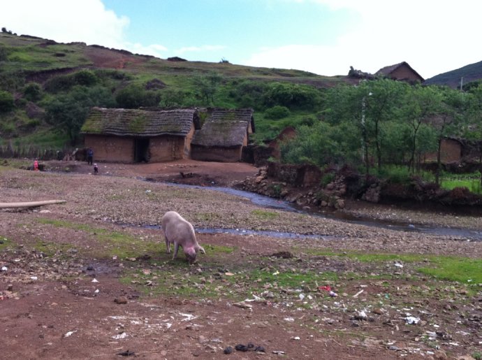 善心蓮心雲南大型助學之旅(三)