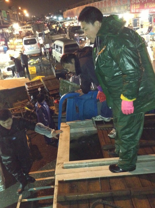 善心莲心联合苏州弘化社举行大型放生