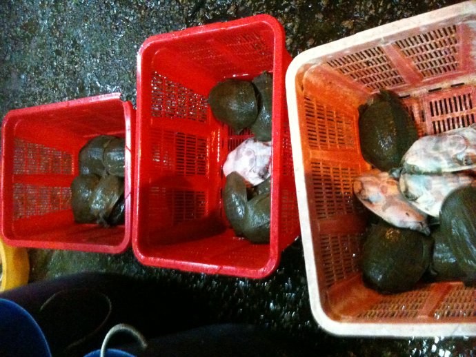 成佛就是如此簡單