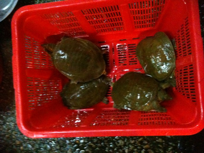 成佛就是如此簡單