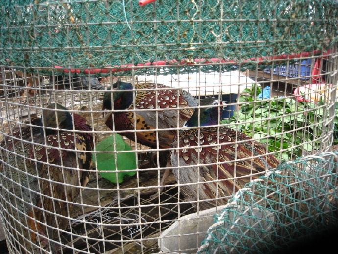 有苦，就有我！