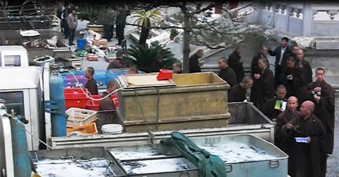 善心蓮心禮請遼寧海城大悲寺全體法師主持救劫大放生