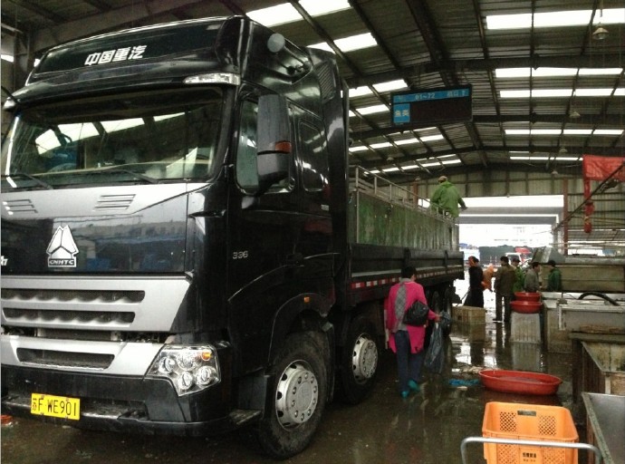 善心莲心联合苏州弘化社举行大型放生