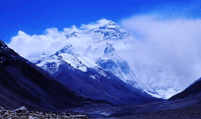 动物活体解剖的反思与能治万病的大药王树