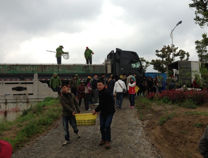 善心莲心联合苏州弘化社举行大型放生