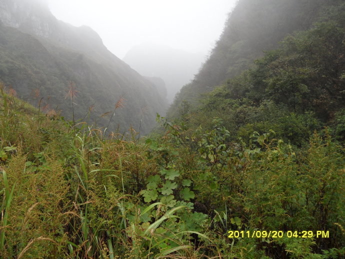 南無甘露王如來大慈大悲-善心蓮心深入貴州重災區全力抗旱