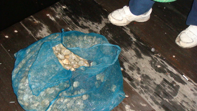 那光音注入我生命-從放生中找到人生的真意義