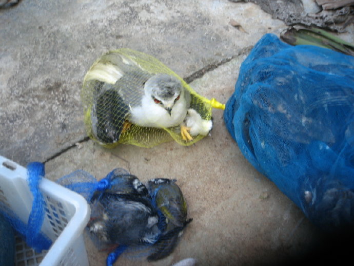 有苦，就有我！