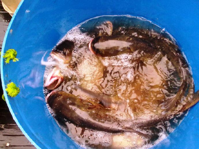 這件事永遠開心