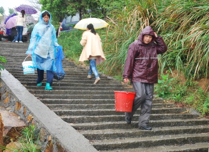善心莲心联合浙江多宝讲寺举行大型放生