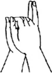 佛母大孔雀明王根本心印详解